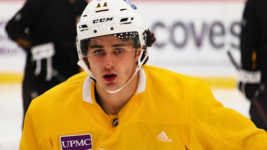 One-on-one: Physicality, clearing crease is Collins' 'bread and butter' taken in Cranberry, Pa. (Penguins)